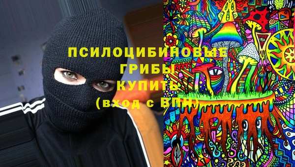 амфетамин Алексеевка