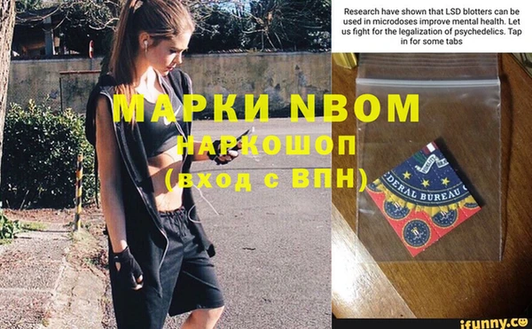 ГАЛЛЮЦИНОГЕННЫЕ ГРИБЫ Абаза